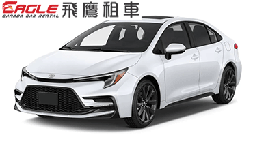 corolla2.png